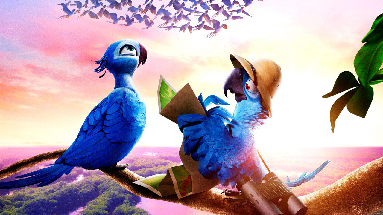 Rio Collection background